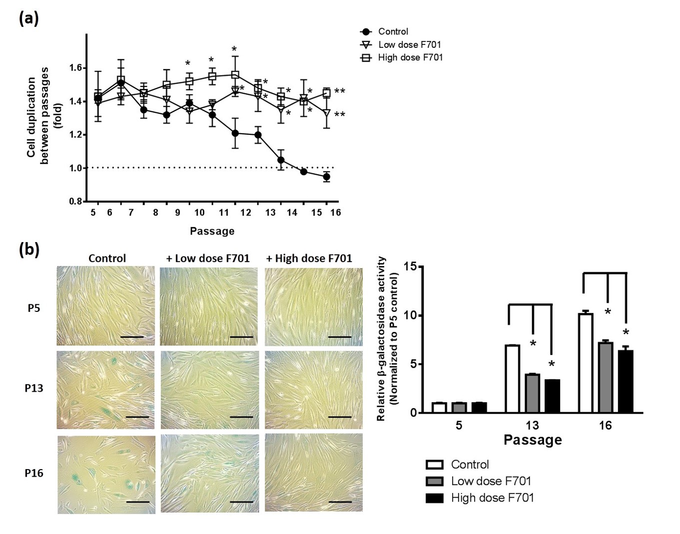 Figure 3. ENERGI-F701 restores dihydrotestosterone (DHT) induced alopecia in mice. 