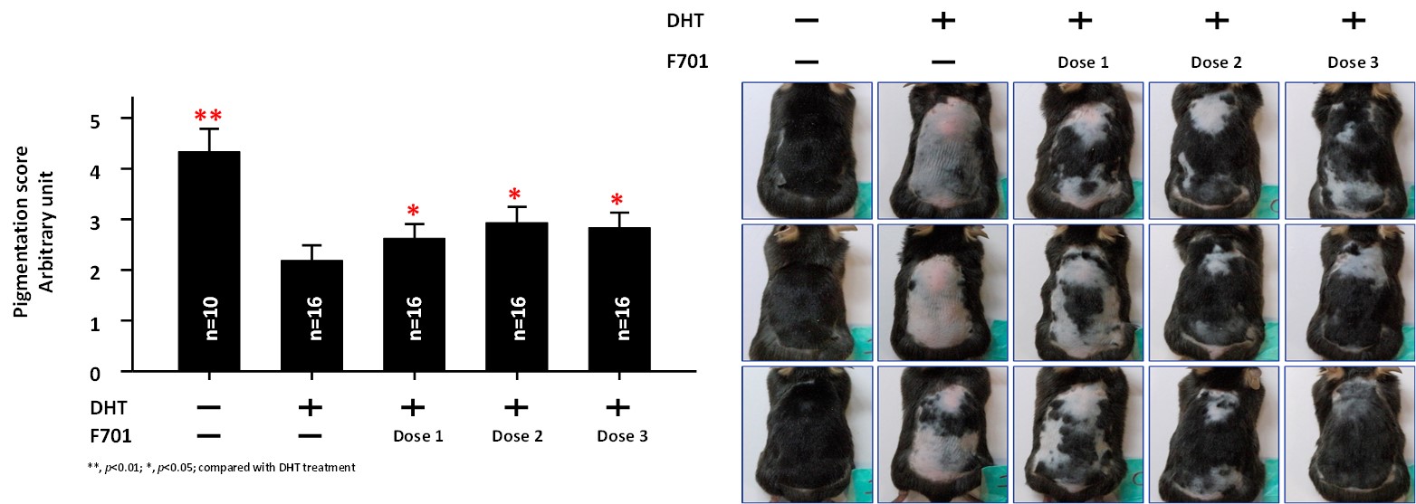 Figure 2. ENERGI-F701 prevents  the senescence of  HFDPCs. (a) Cell replications in control or ENERGI-F701 treated cells. (b) Comparison of cell senescence using b-galactosidase stains. (c) quantitation of figure 2b.